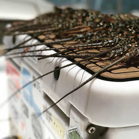 ICON 32 Traction Pad